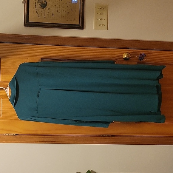 Beautiful Torrid top - Picture 3 of 8